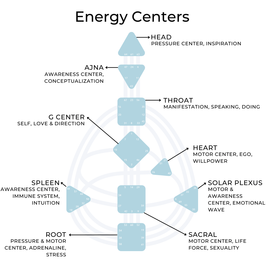 image of the sacral centers, also known as energy centers, of someones human design chart